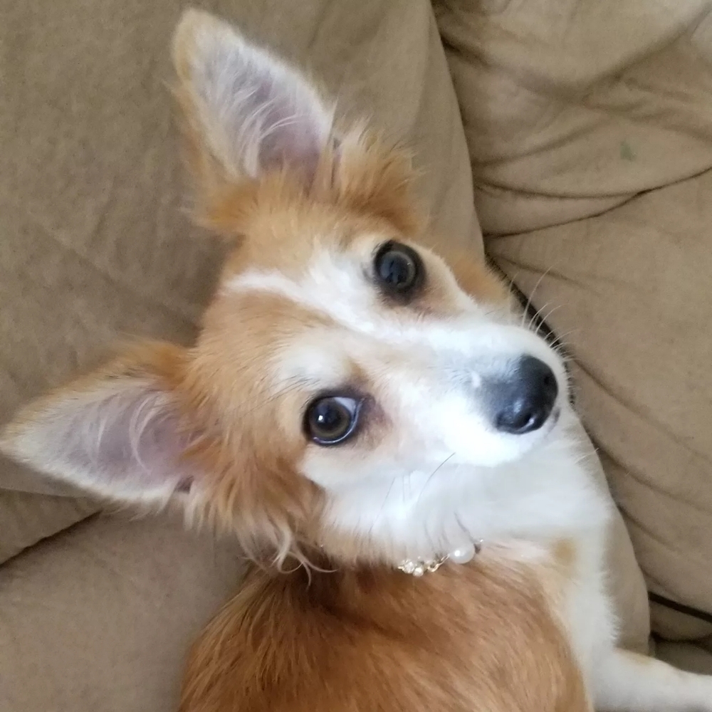 Meet your Posher, Rhonda